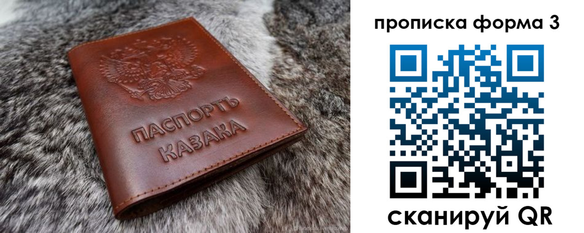 временная прописка в Камышине